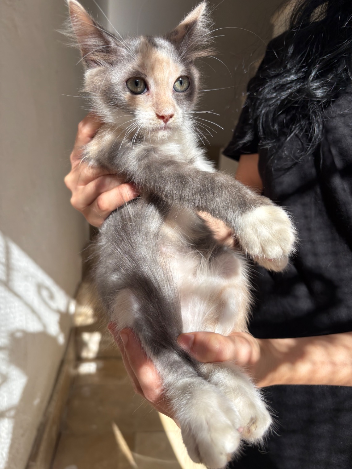 Photo de Zarbiya