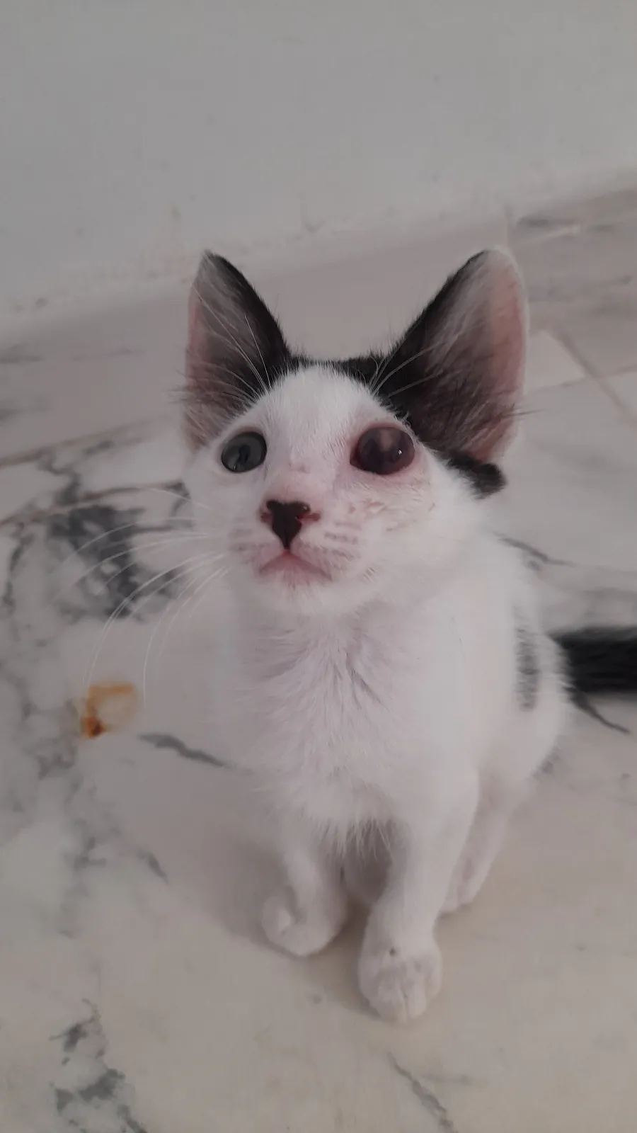 Photo de César