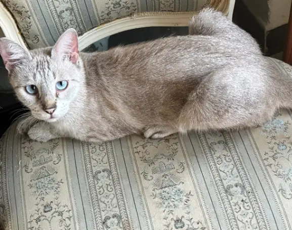 Photo de Touti