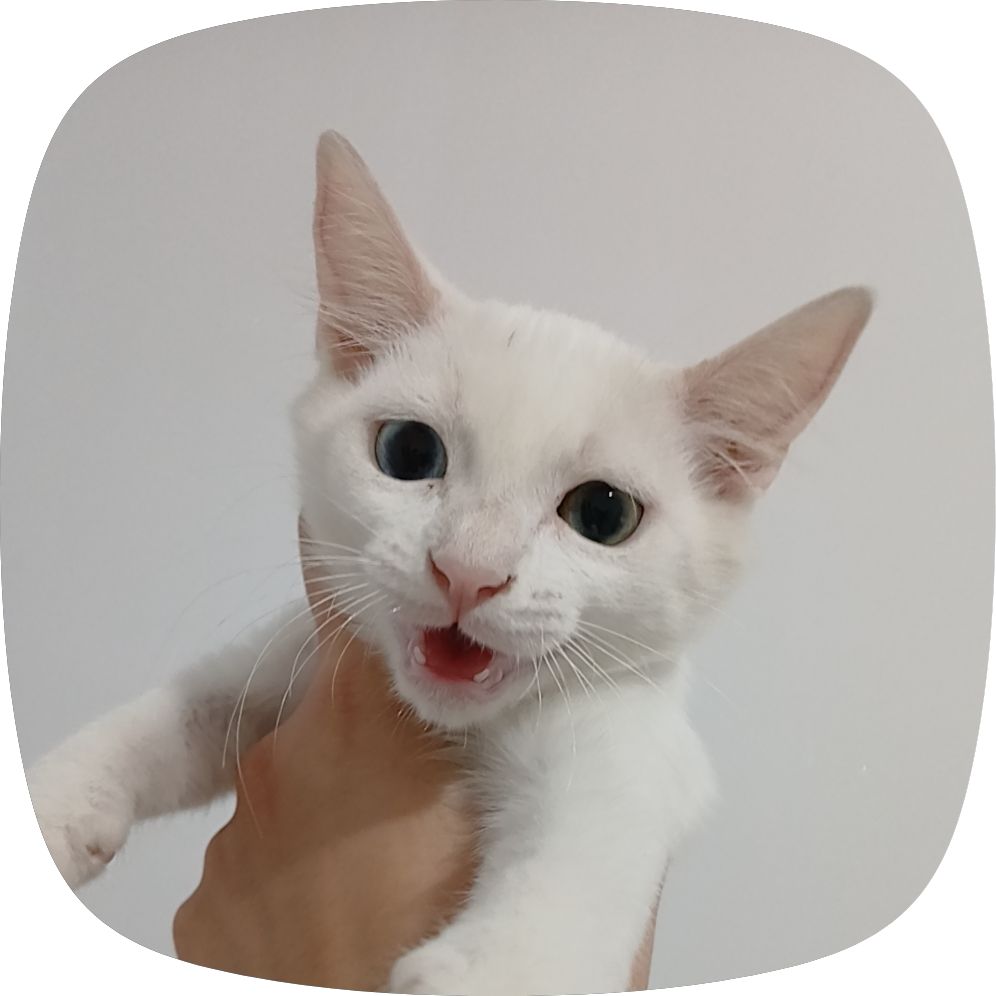 Photo de Bibi